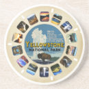 Search for bison barware Yellowstone national park