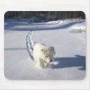 Search for footprints electronics Outdoors