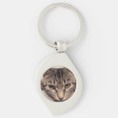 Search for tabbies key rings Kittens