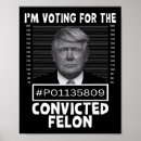 Search for pro posters Freedom