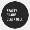Search for karate black belt stickers Kung fu