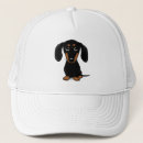 Search for dachshund hats Wiener dog