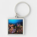 Search for diving square key rings Adventure