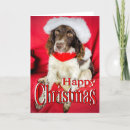 Search for pedigree cards Purebred