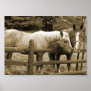 Search for ranch life posters Horses