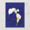 Search for calla vertical postcards Flower
