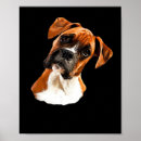 Search for boxer puppy posters Pug