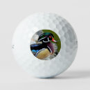 Search for bird golf balls Nature