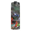Search for hummingbird travel mugs Birds