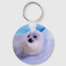 Search for seal pup key rings Cute