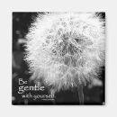 Search for gentleness magnets Inspirational
