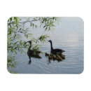 Search for geese magnets Animal