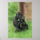 Search for cheeky posters Animal