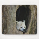 Search for red panda electronics Nature