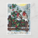 Search for snow birds postcards Vintage