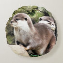 Search for cute otter cushions Nature