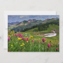 Search for outdoor scenery cards Snow