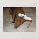 Search for dachshund christmas cards Daschund