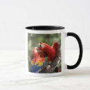 Search for scarlet macaw mugs Wild