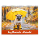 Search for bath office supplies Pug