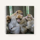 Search for ape notebooks Wildlife