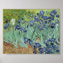 Search for irises posters Fine