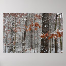 Search for snow covered trees posters Nature