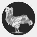 Search for black rooster stickers Chickens