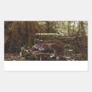 Search for aps stickers Apes