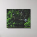 Search for heron canvas prints Landscape