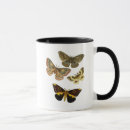 Search for butterfly moth mugs Moths