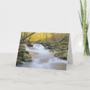 Search for mountain stream cards Landscape