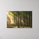 Search for deciduous forest art Nature