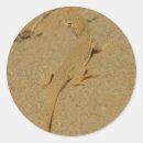 Search for mojave desert stickers Nature