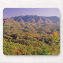 Search for smoky mountains mouse mats Nature