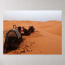 Search for sahara art Nature