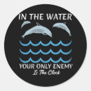 Search for dolphin stickers Summer