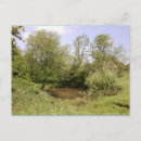 Search for hidden photography Woods