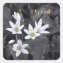 Search for clusters stickers Nature