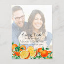 Search for orange blossoms postcards Citrus