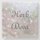 Search for herbal coasters Herbs