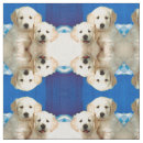 Search for labrador fabric Pets