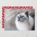 Search for funny cat image cards Cute