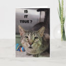 Search for turning 40 cards Cat