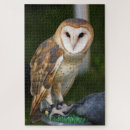 Search for barn owl puzzles Owls