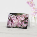 Search for fragrant cards Bloom