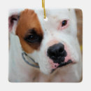 Search for white boxer dog christmas tree decorations Cute