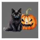 Search for cat pillow posters Spooky