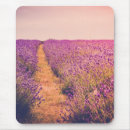 Search for lavander electronics Nature
