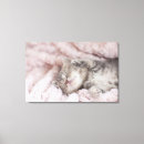 Search for tabby art Animal